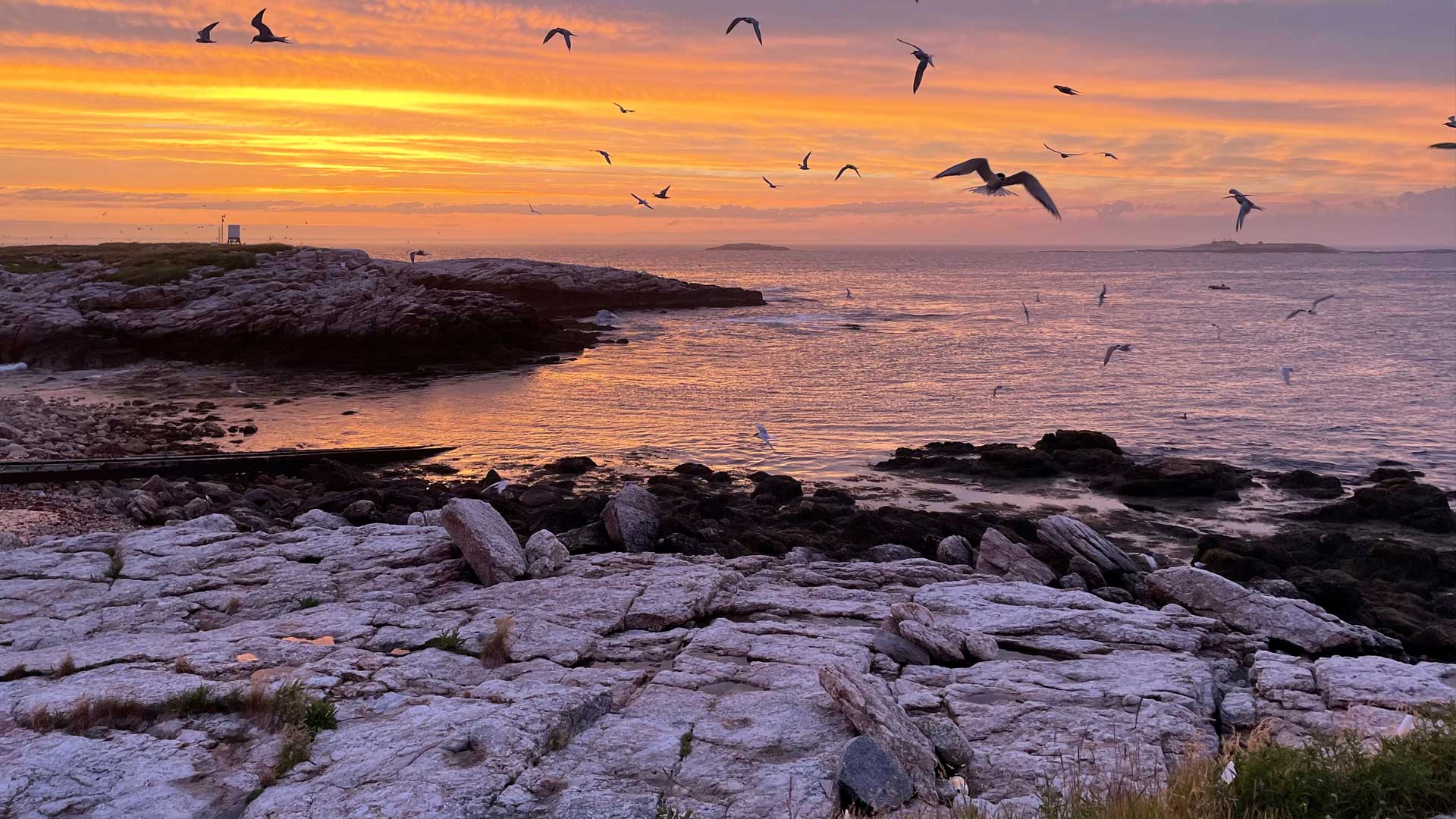 Sea Change: The Gulf of Maine