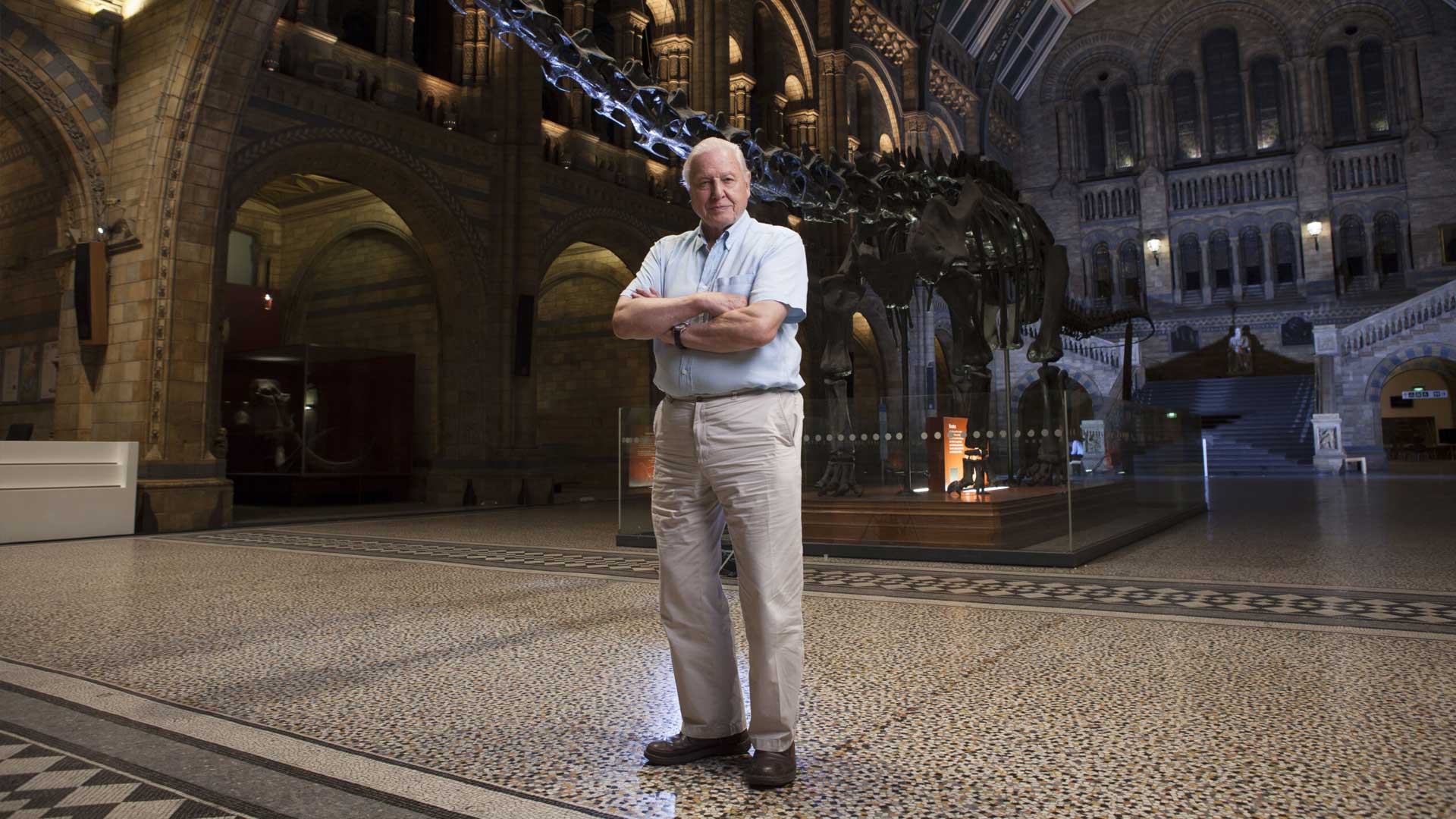 Sir David Attenborough explores London’s Natural History Museum, where extinct creatures come alive.